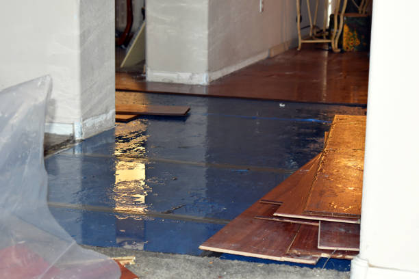 Professional Basement Flood Cleanup technician working in Kittery Point, ME